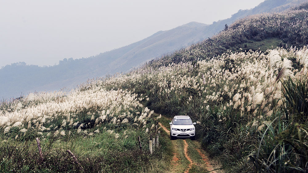 Nissan X-Trail xuống núi