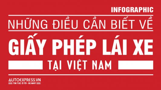 Danh mục các loại bằng lái xe tại Việt Nam [Infographic]