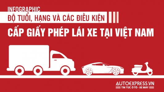 Những kiến thức chung nhất về bằng lái xe tại Việt Nam [Infographic]