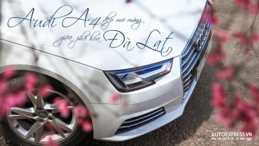 Audi A4 đẹp mơ màng giữa ngàn hoa Đà Lạt